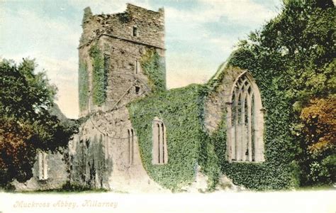 Muckross Abbey, Killarney. | Postcards Ireland