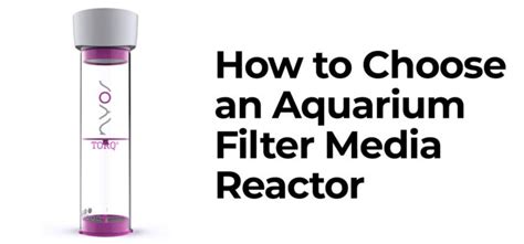 How to Choose an Aquarium Filter Media Reactor - Simplicity Aquatics