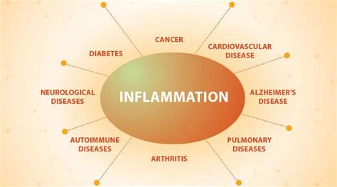 Gamma Linolenic Acid (GLA): Benefits for Weight Loss – Healthy Food Near Me