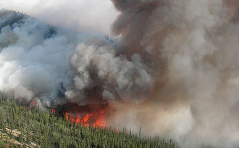 Tracking Nature’s Contribution to Pollution