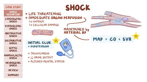 Hypovolemic Shock Stages