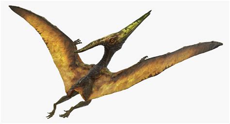 Pteranodon Flying Carnivorous Reptile 3D - TurboSquid 1385298