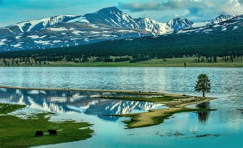 30 Remarkable Nature and Animal Photos of Mongolia