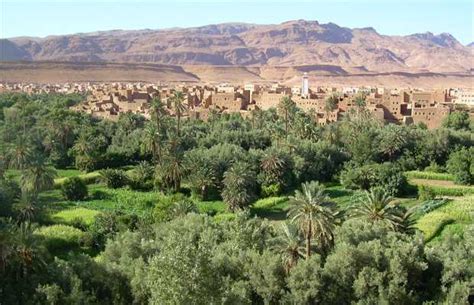 Tafilalet Oasis in Erfoud: 2 reviews and 24 photos