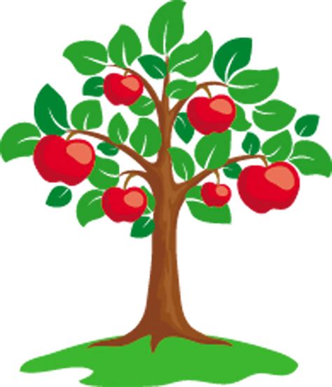 Apple Tree Clip art - dry fruit png download - 990*1153 - Free ...