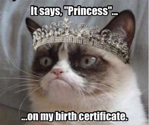 HRH Princess Grumpy Cat | Grumpy cat humor, Grumpy cat quotes, Grump cat