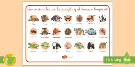 Tapiz de vocabulario: Los animales de la jungla y el bosque tropical