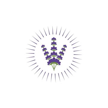 Lavender Flower Vector Illustration Design Violet Vector Herb Vector, Violet, Vector, Herb PNG ...
