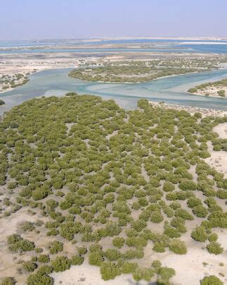 Abu Dhabi Climate Change Strategy