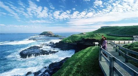 14 Best Tourist Attractions to See on a Phillip Island Tour for ...