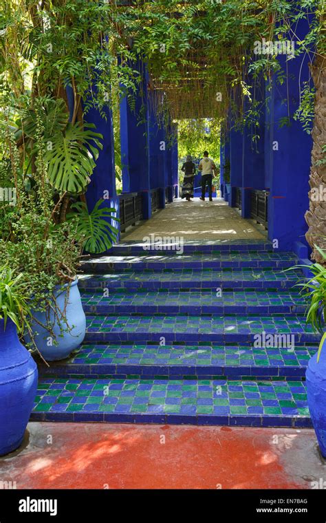 Majorelle garden. Marrakech. Morocco. Africa Stock Photo - Alamy