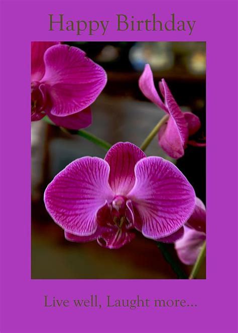 happy birthday orchids pictures - Kris Lemon