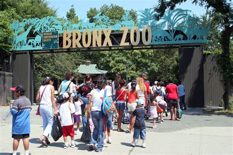 Bronx Zoo Wildlife Conservation Society | Bronx, NY | Attractions in ...