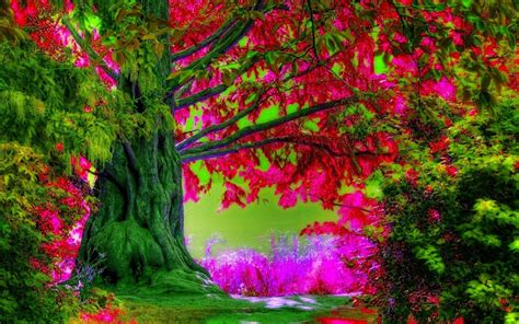 Spring Trees Wallpapers - Top Free Spring Trees Backgrounds - WallpaperAccess