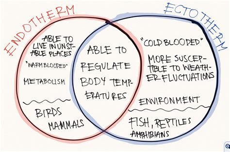 ANIMAL PHYSIOLOGY - Thermoregulation