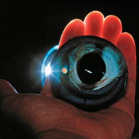 DiscoveryNews • Despite the Dark, Giant Squid Eyes See All The...