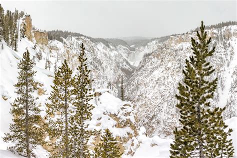 Grand Canyon of the Yellowstone in Winter - T. Kahler Photography