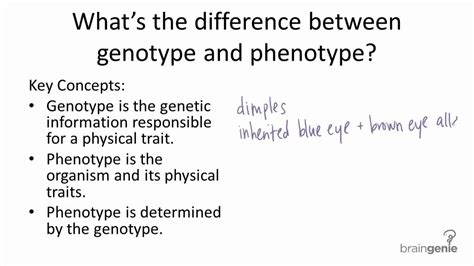 9.1.3 Genotype v. Phenotype - YouTube