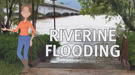 Riverine Flooding - YouTube