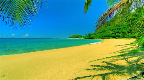 Summer Beach Scenes Wallpaper - WallpaperSafari