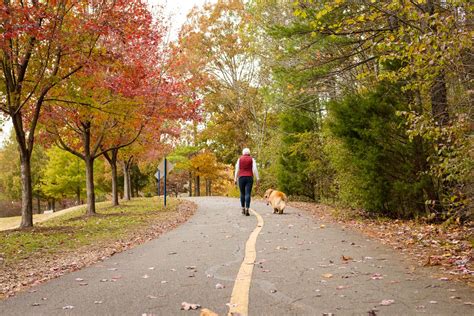 Fall Dog Photoshoot: your Ultimate Guide! | Top Raleigh Pet ...