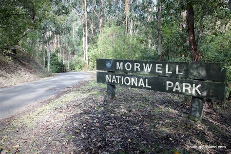 morwell-national-park-015 | South Gippsland - Victoria - Australia