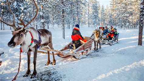 10 Best Things To Do in Lapland, Finland with Kids - TripM