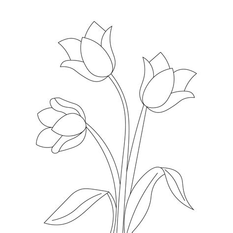 colorin page of tulip flower line drawing of black design on white ...