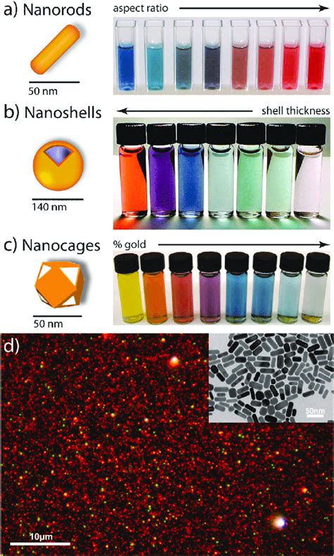 Gold nanoparticles commonly applied in biomedical applications. (a ...