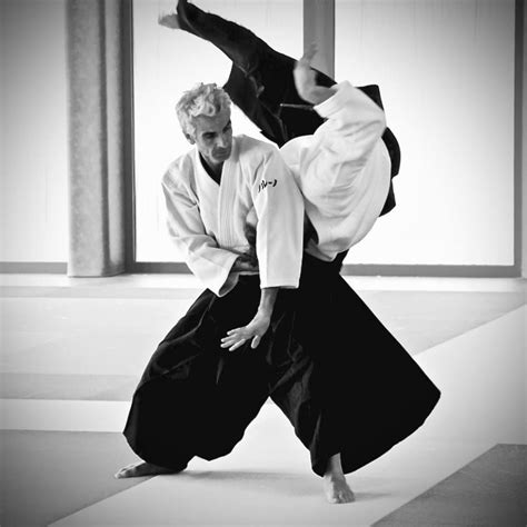 Pin on Aikido