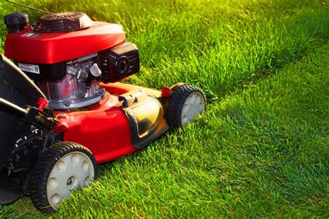 Why is Mowing Your Lawn So Important | Hi Quality Turf