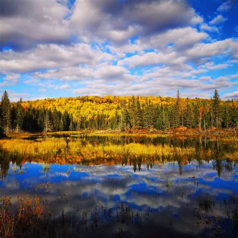 Fall Landscapes in Algonquin Park - Dana Harper Photography