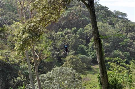 Mayan Jungle Canopy Zipline - Discover Roatan™ Excursions & Tours