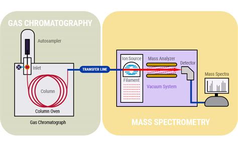 Gas Chromatography Mass Spectrometry: Principle,