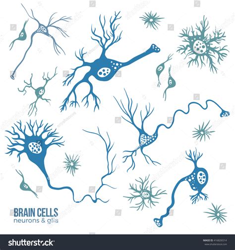 Various Types Brain Cells Doodle Background Stock Vector (Royalty Free) 416826514 | Shutterstock