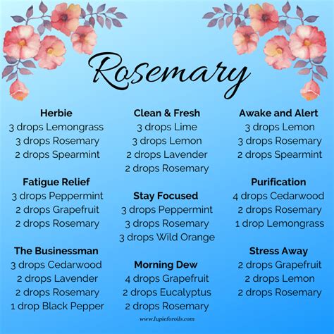 Rosemary diffuser blends | Diffuser recipes, Essential oil diffuser ...