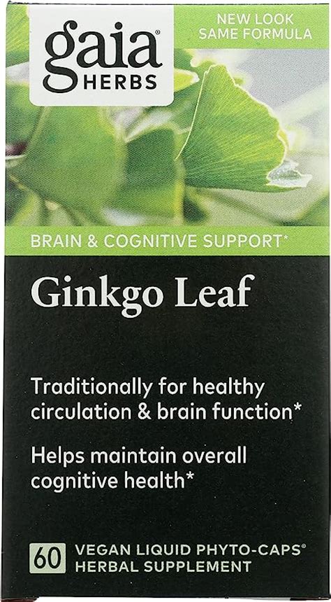 5 Ginkgo Biloba Supplements Good For Memory Loss - Life Boost Nutrition