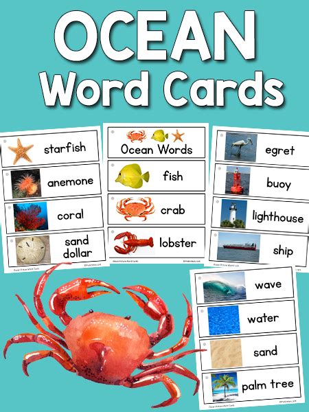 Ocean Word Cards - PreKinders Preschool Activities