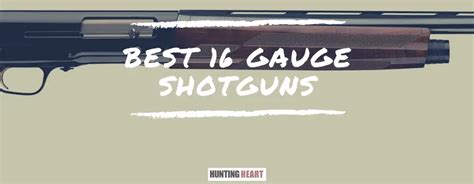 Best 16 Gauge Shotguns for Duck Hunting - Hunting heart