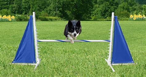 Best Dog Agility Equipment, Tunnels, Weave Poles, and Jumps - Clean Run