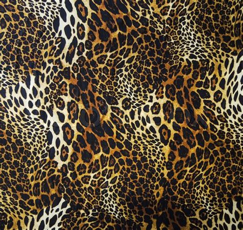 Leopard skin seamless background | Stock image | Colourbox