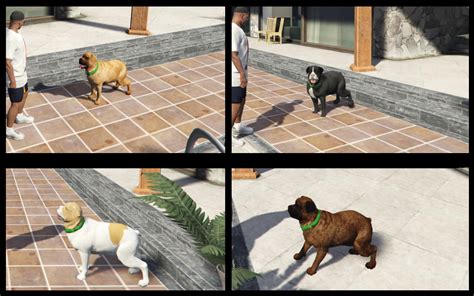 Chop - Dog Coat Color - GTA5-Mods.com