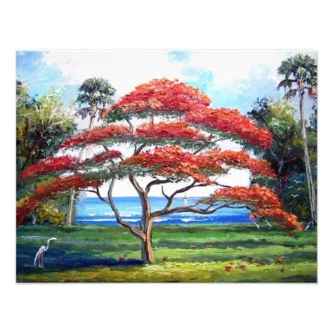 Royal Poinciana Tree Art | Zazzle | Tree painting, Royal poinciana, Tree art