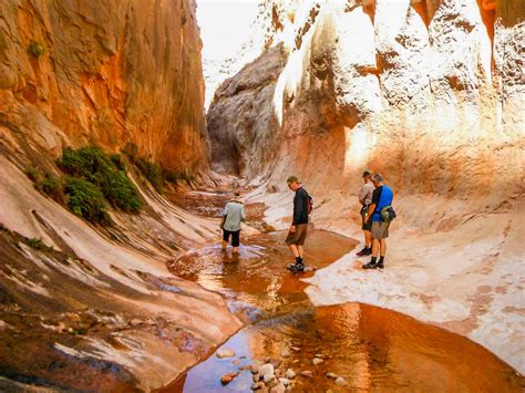 Hiking up Kanab Creek in Utah with Four Season Guides out of Flagstaff ...