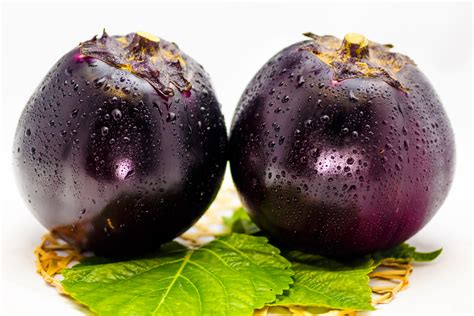 large round eggplant of a vegetable indigenous to Kyoto. Japan - Savvy Tokyo