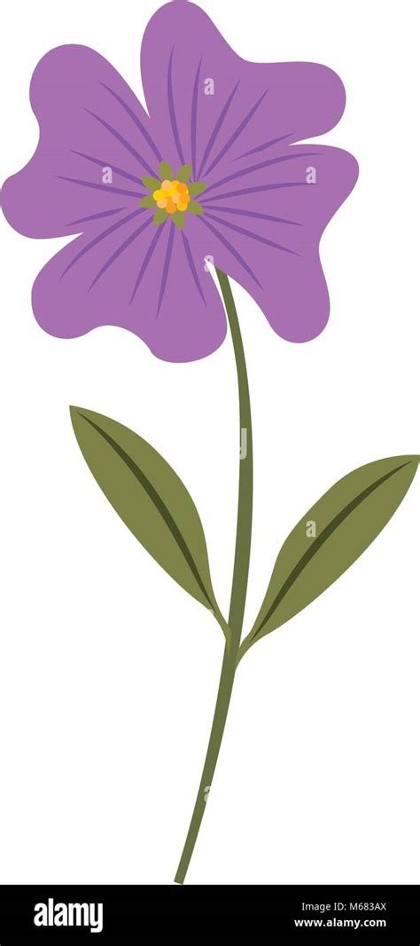 cute flower periwinkle petals leaves stem icon vector illustration ...