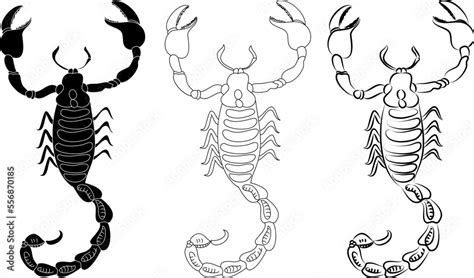 Black and white drawing scorpion. Vector illustration.scorpion colorful set and sticker design ...