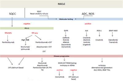 Frontiers | New Frontiers for Molecular Pathology