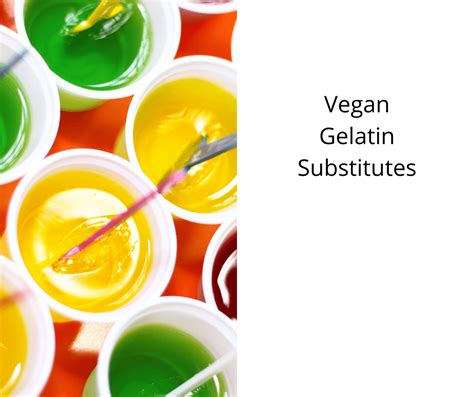 Vegan Gelatin Substitutes - The Graceful Kitchen