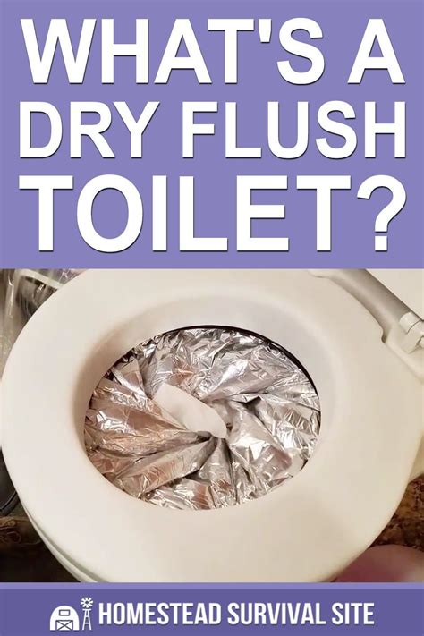 What's A Dry Flush Toilet? - The Beginner's Guide | Flush toilet, Outdoor toilet, Camping bathroom